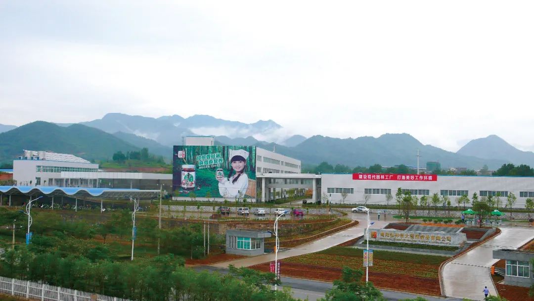 仲景香菇酱:从地方特产到全国餐桌上的品牌跨越