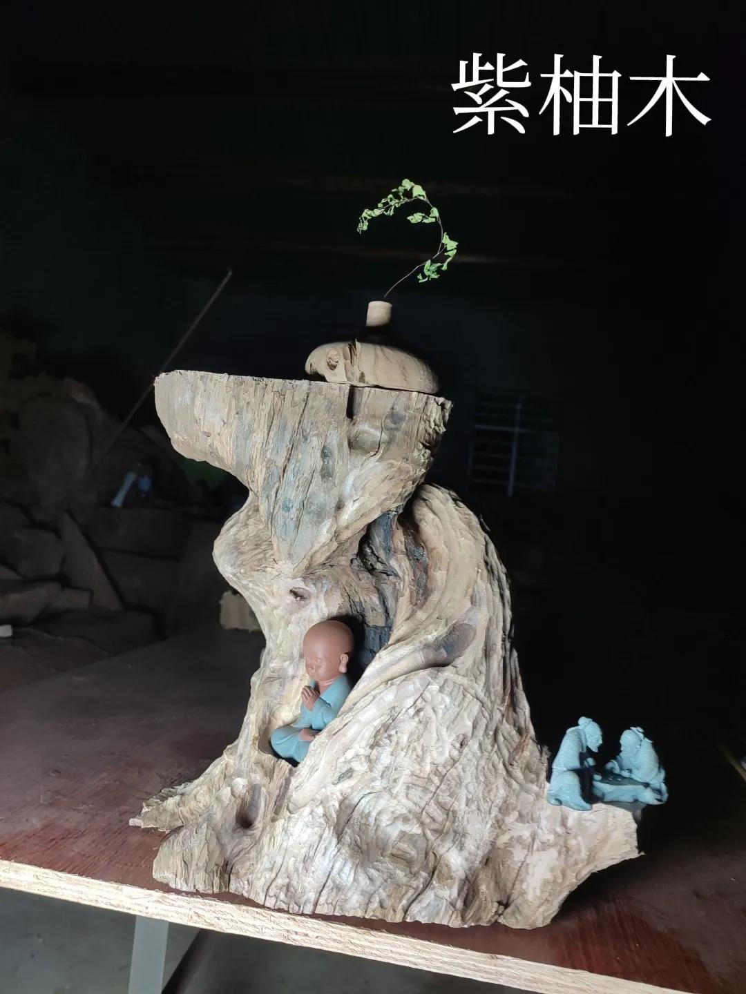 什么木头不生虫,什么木头不容易被虫咬