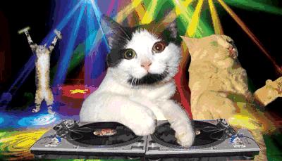 什么妆前乳能提亮肤色效果好一点,妆前乳平价推荐填补毛孔