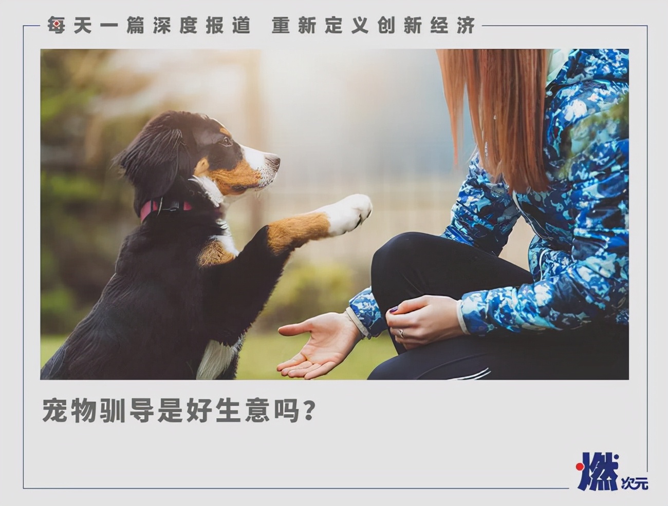 宠物驯兽师职业前景,宠物驯养师前途怎么样