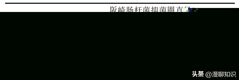 抑制幽门螺旋杆菌的乳酸菌,抑制幽门螺杆菌的乳酸菌