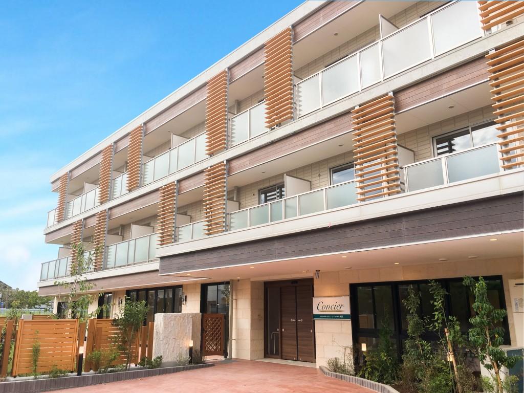 日本养老服务项目有哪些,日本养老服务项目