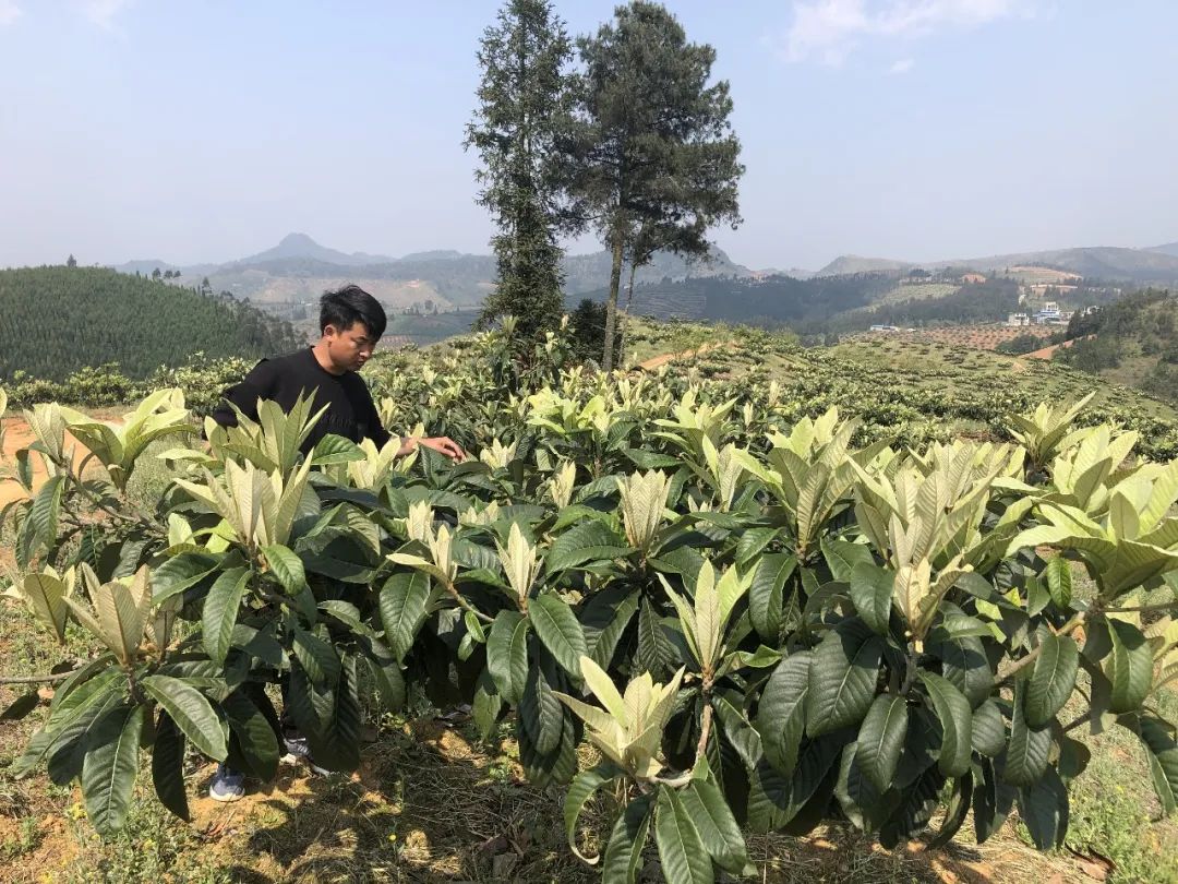 创业失败如何翻身致富,创业失败后我们该怎么做