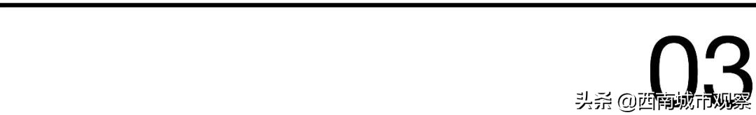 成都的杜甫,成都杜甫