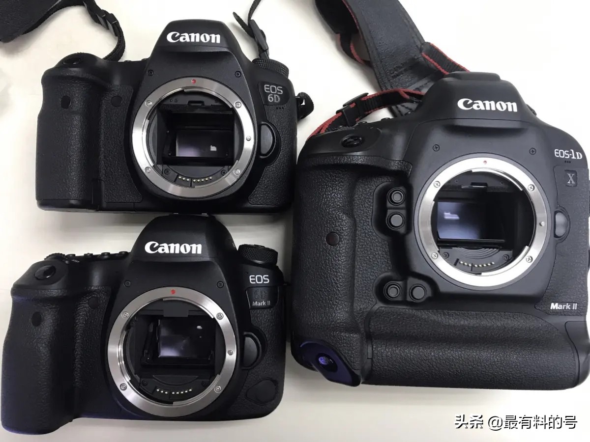佳能r10和佳能r6一代哪个值得买,佳能微单r10和r7的最大区别