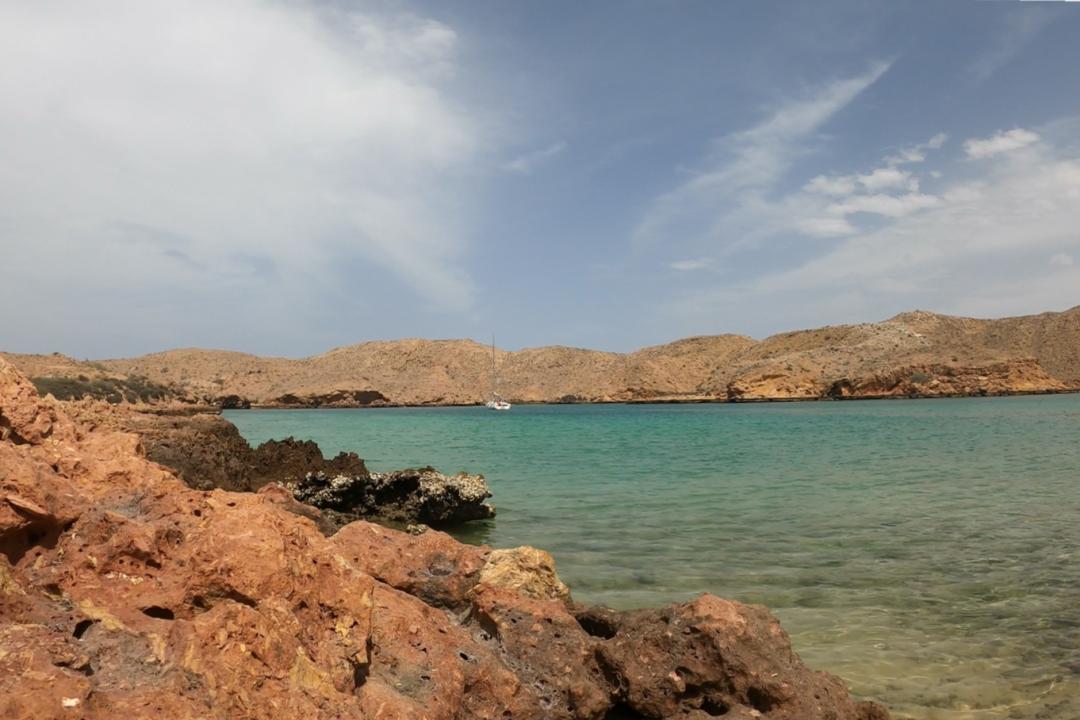 中国小伙的航海日记,44:遭遇海上马蜂袭击,亲妈都不认识我了