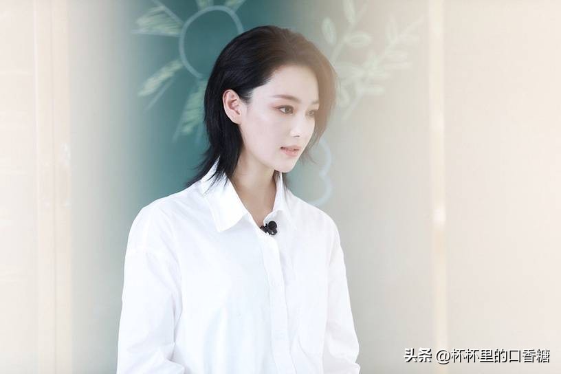 被黑最惨的五位明星,被黑最惨的六位明星