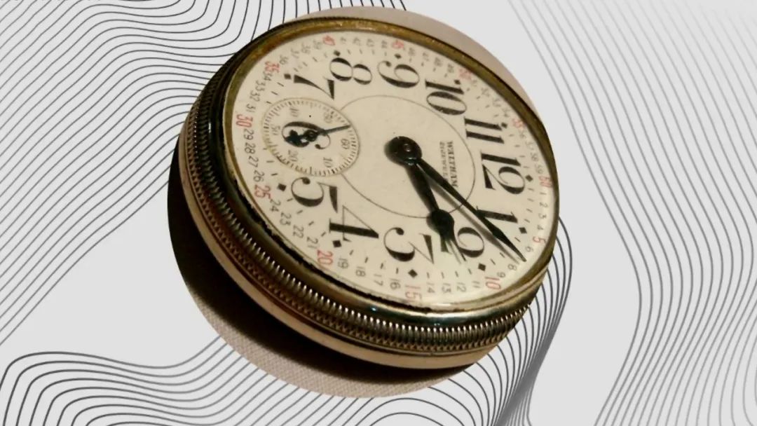 园林景观绿化工程施工,园林景观设计与施工竞赛优秀作品