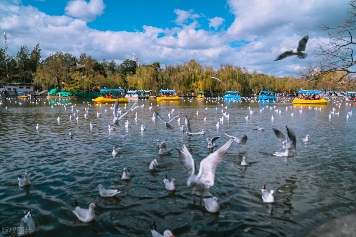 春节去云南哪里游玩有特色,春节除了云南还有哪里好耍