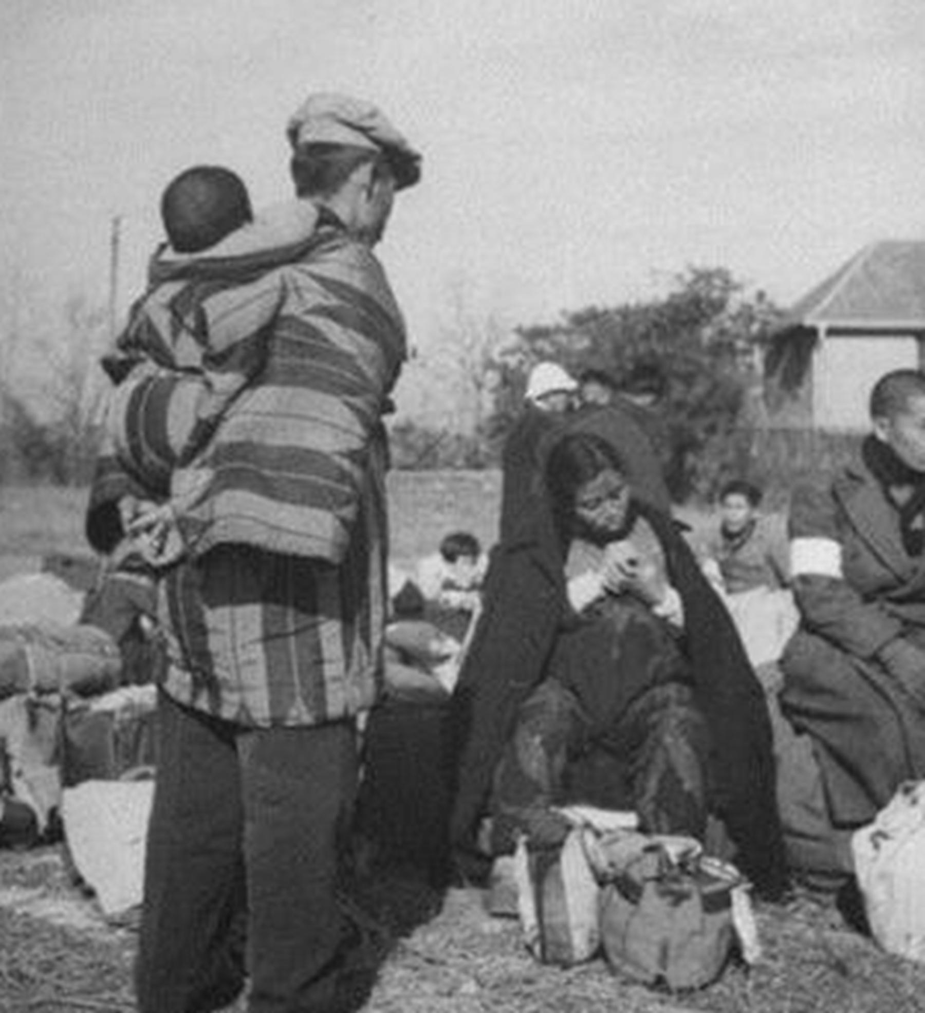 德国二战过后是怎么补充人数的,二战德国为恢复人口手段有多残忍