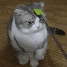 改作业的东西取不出来怎么办,改作业时油溅在作业上