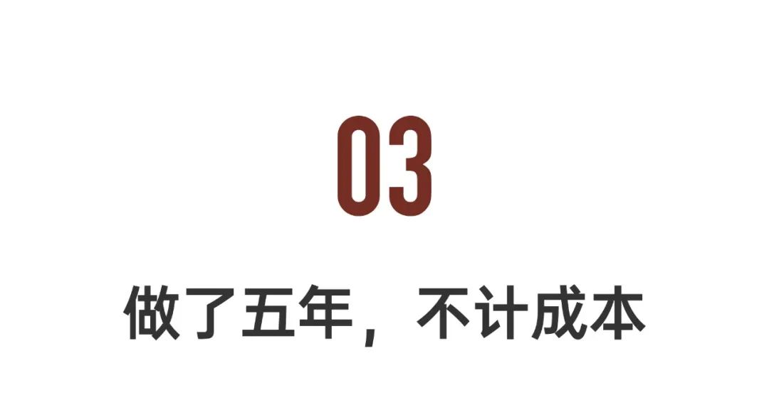 中国顶级ip排名,十大经典ip排行榜