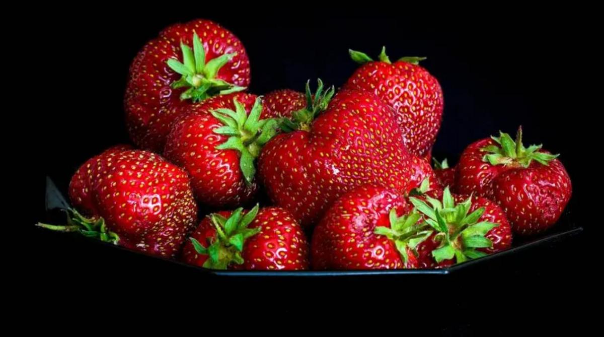 草莓种植最简单方法小技巧,草莓种植方法小白也能种出好草莓