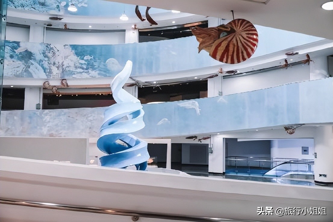 夏日海边浪漫迷人,滨城风光秀丽浪漫气息爆表