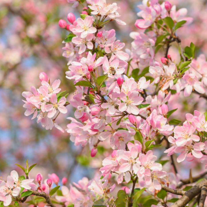 快上车app官网,快上车在哪设置