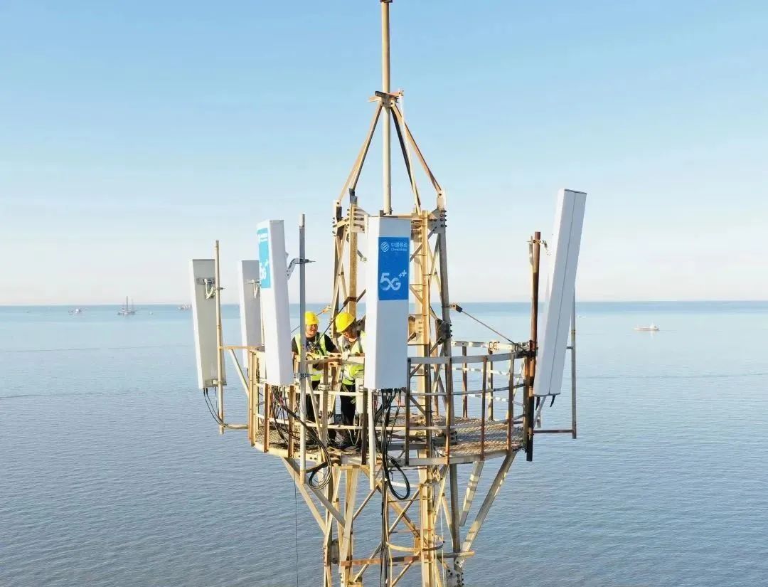 悬念揭晓在即,悬念揭晓视频