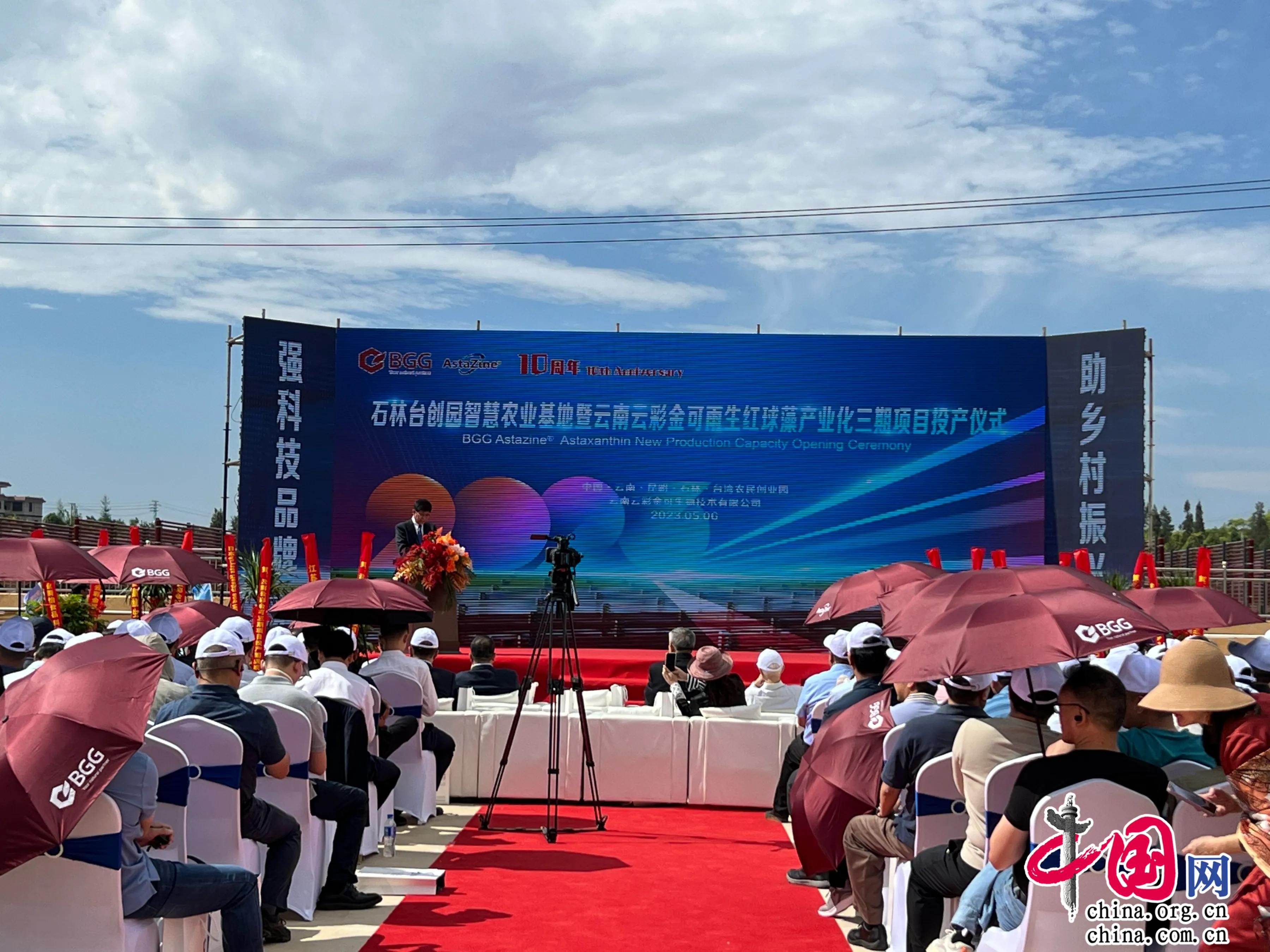 云南雨生红球藻产业化基地,云南云彩金可生物技术有限公司
