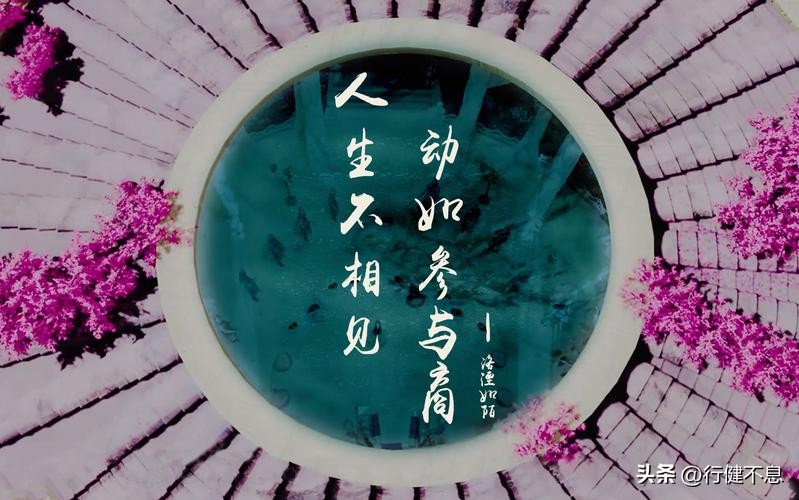 杜甫最经典的15首诗五言绝句,杜甫最著名的十首诗将进酒