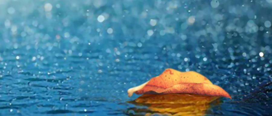 为什么越想忘掉一个人就越忘不掉,为什么人老是会纠结一件事放不下