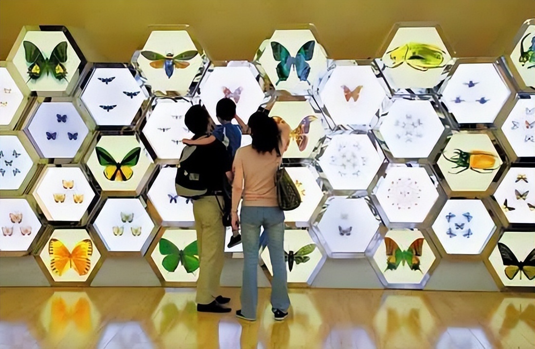 抓住秋天的尾巴！都江堰必打卡的8大晚秋好去处，步青山观烟岚云岫、入古城拾千年烟火，来过都会爱上