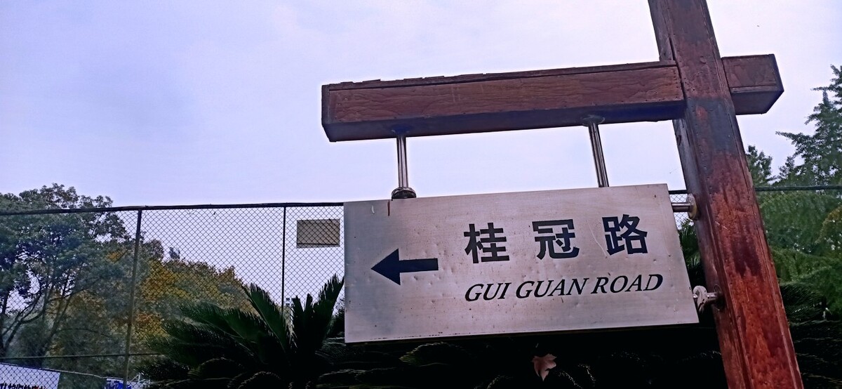 成都体育学院毕业生分析，一成本科生升学，67%就业于四川省内