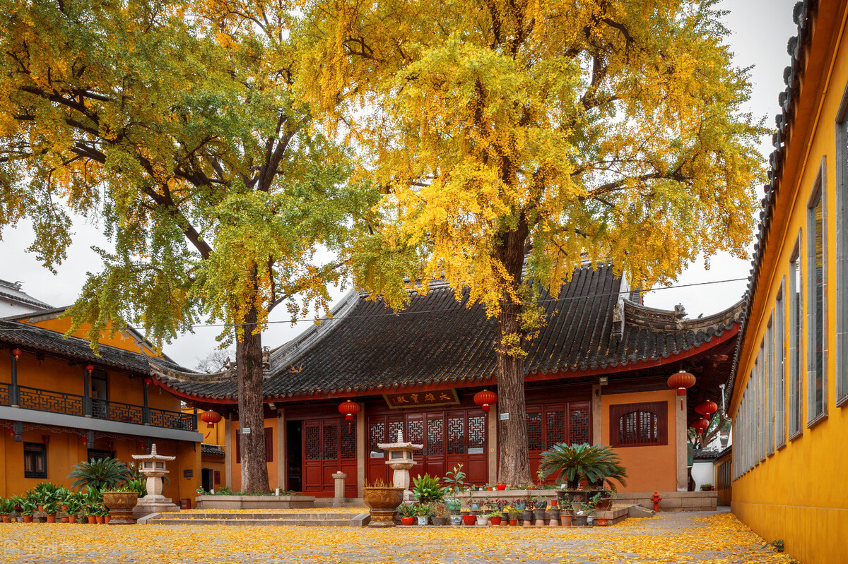 秋天的苏州必去的景点,苏州秋天小众景点推荐