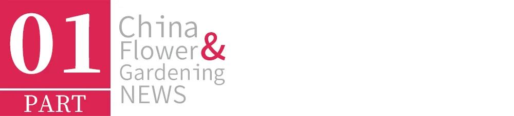 第21届高交会开幕亮点一箩筐,零交会展馆