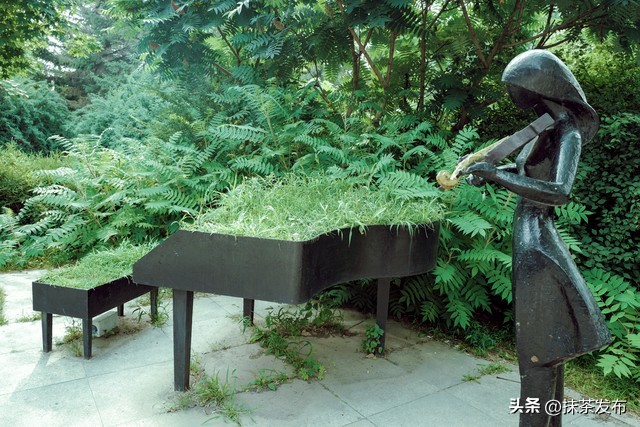 爱是命运之花！11首希望满满的外文歌曲（收藏）