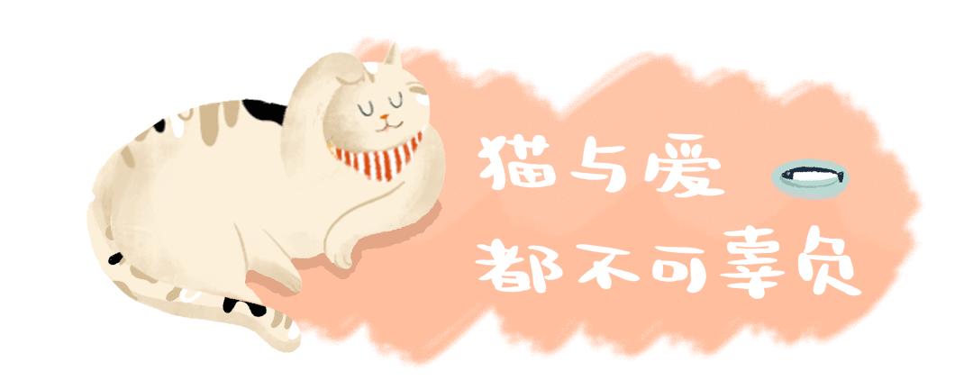 Gucci宠物单品曝光,捡屎包亮了