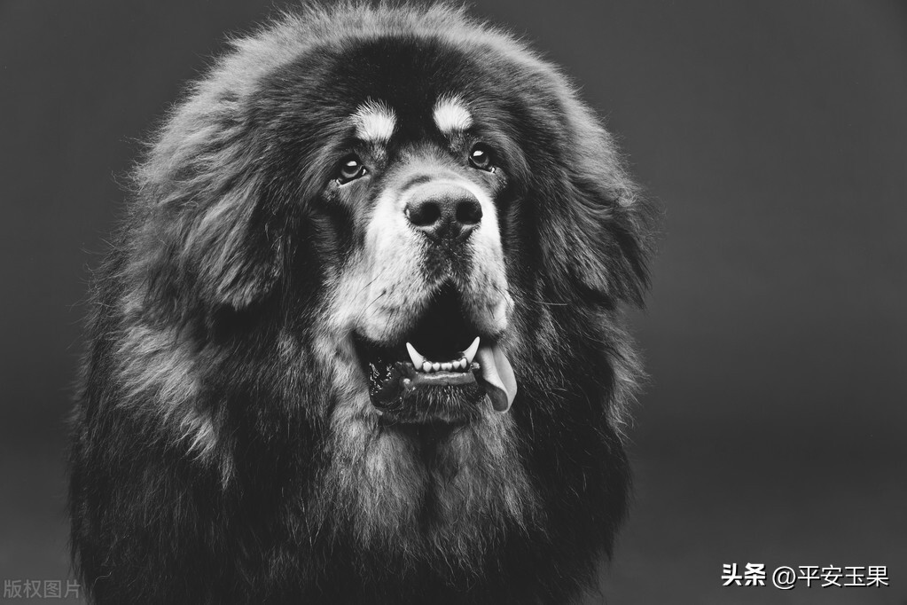 一次摄影的经历,一次拍摄失误的后果