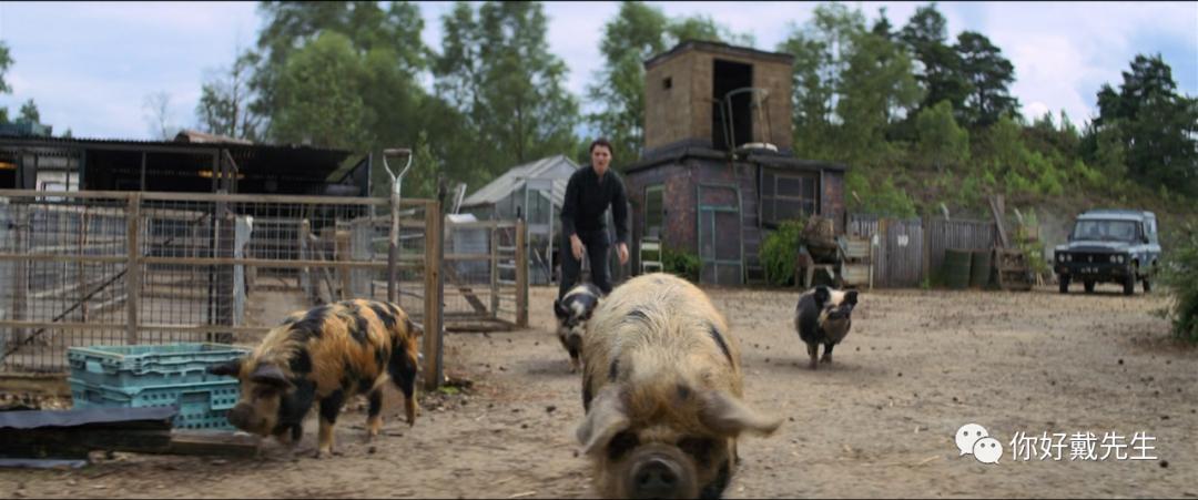 黑寡妇彻底退场,黑寡妇初次登场