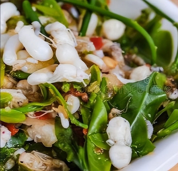 丛林探险美食大全,真正的丛林美食有哪些