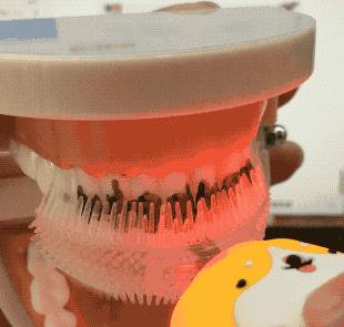 儿童牙刷怎么选择好用一点,3-6岁儿童应该怎么选牙刷