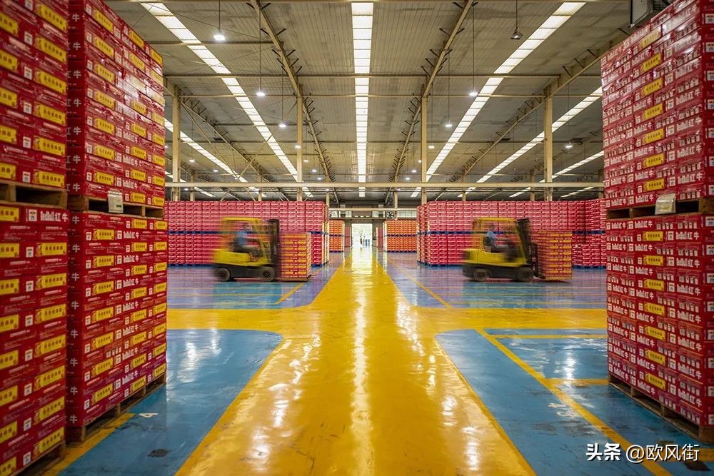 非凡十年奋进大湾区,非凡十年焕新启航