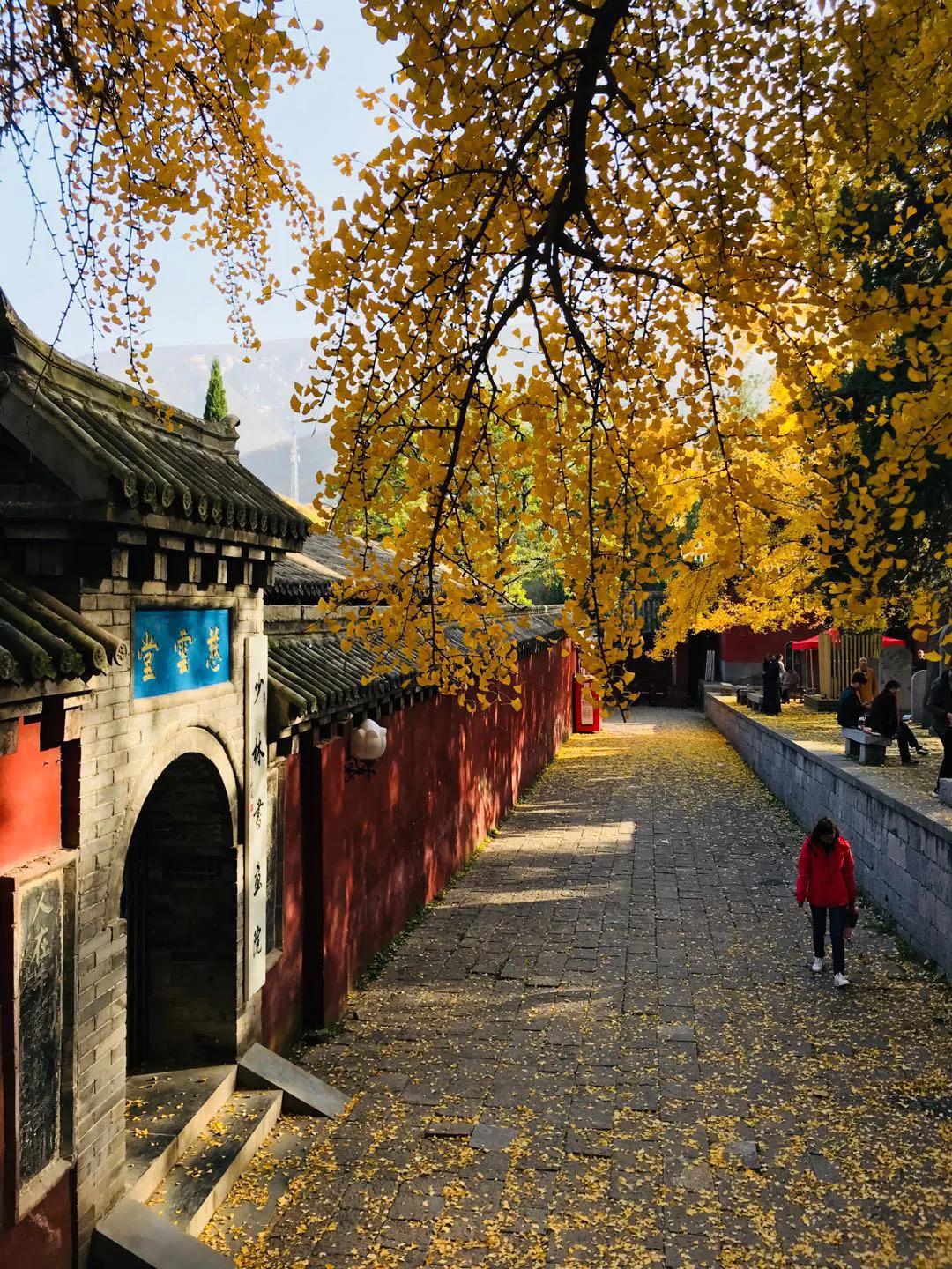 天地之中少林寺,中岳嵩山两个山哪个更好