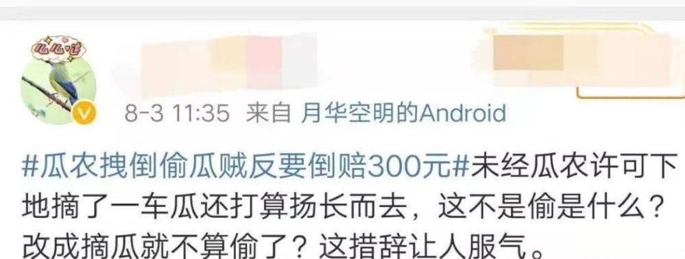 瓜农西瓜被偷反而赔偿,瓜农西瓜被偷倒赔300元反转来了
