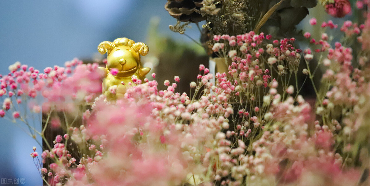 上海大专学校推荐单招,上海排名前50的73所院校