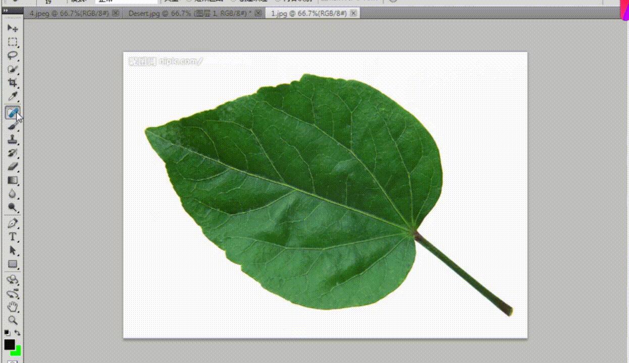 ps教程视频全集免费,ps修图技巧处理面部结构