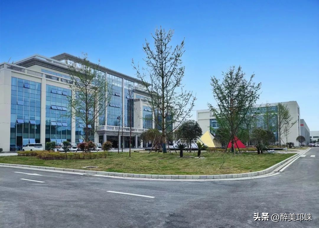 企业家谈助力经济发展,企业家说成功的关键