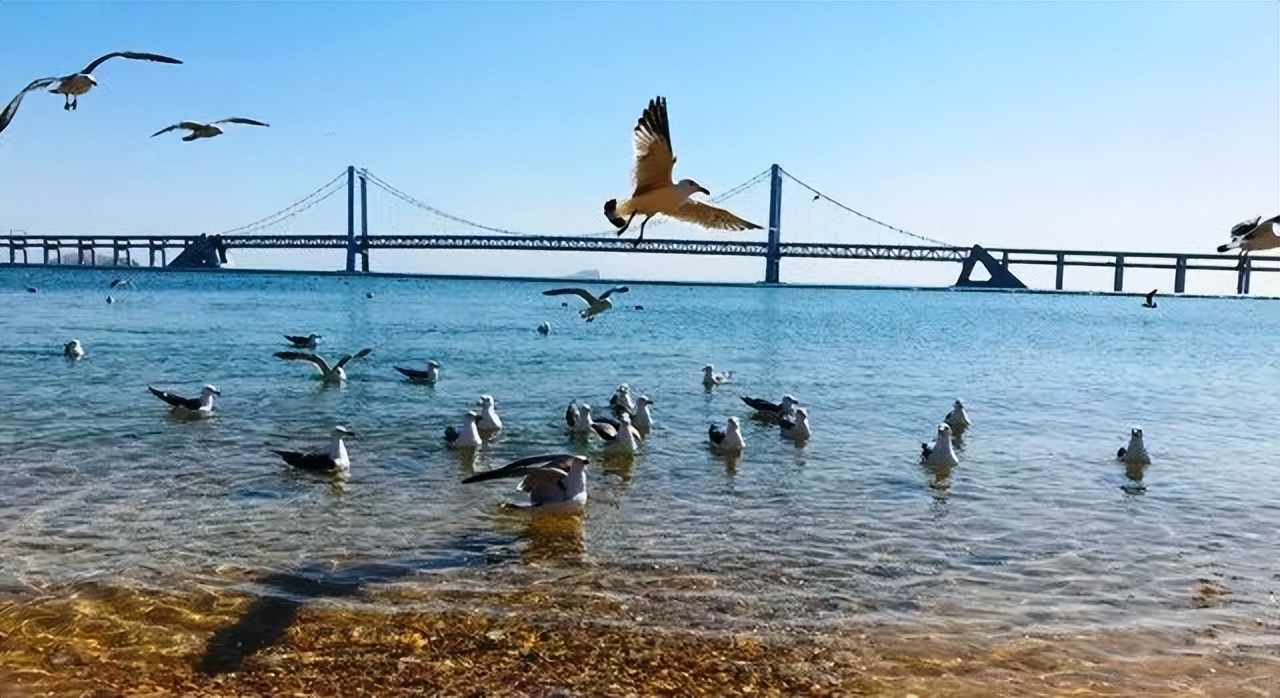 大连旅游攻略3天2夜住宿,大连旅游攻略视频