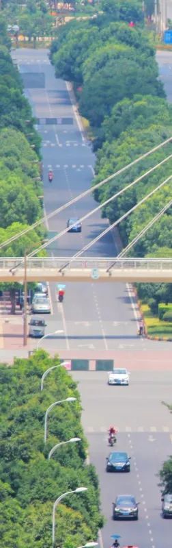 港剧那些年追过的剧,好港