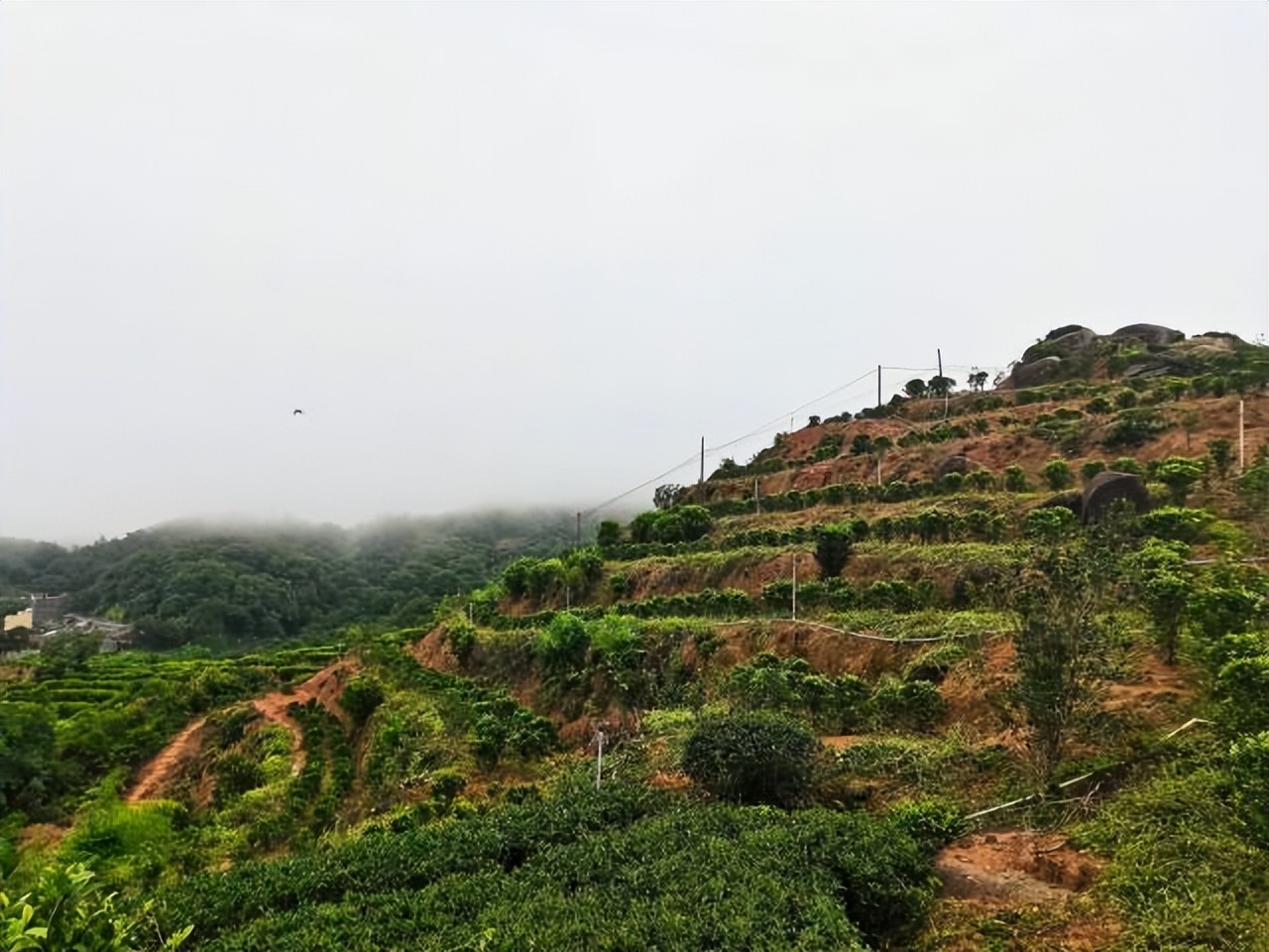 点赞新时代美丽乡村,潮南区美丽乡村