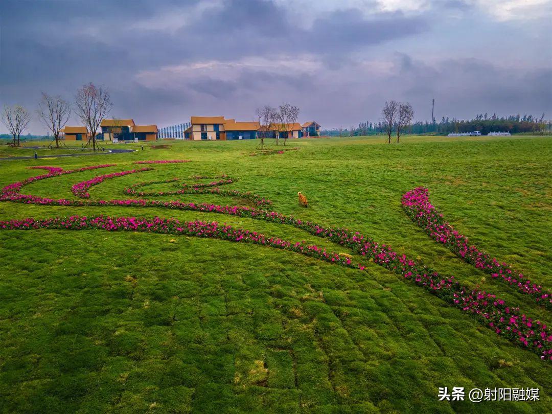 日月岛tobevillage帐篷露营音乐节,日月岛看海的地方