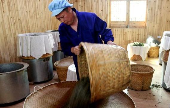 广东老板放弃皮革生意，靠“壮阳树”年入千万，一张树皮卖千元