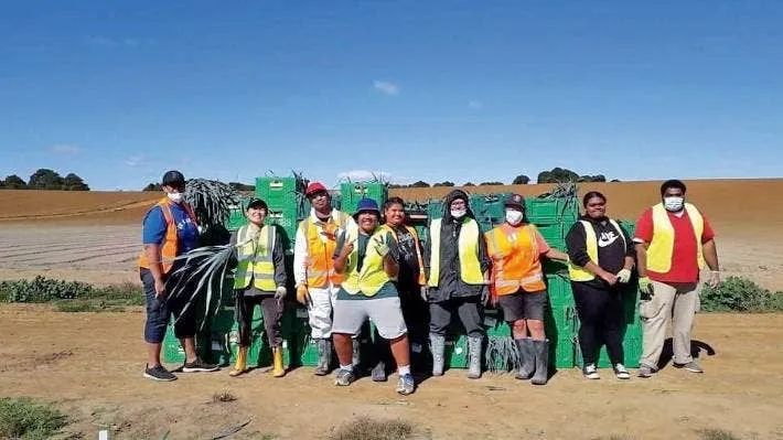 长得丑被抛弃,长得丑被人抛弃