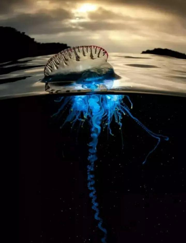 王牌部队豆瓣评分9.5以上的电影,豆瓣评分最高的电影排行榜前十名