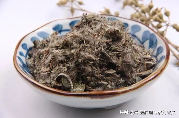 大蓟全身都是刺根是好中药,大蓟中药治疗什么病