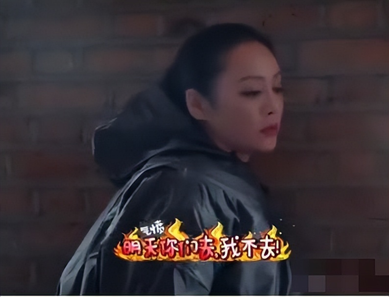 “狂野性感”的宁静，混娱乐圈无人敢*规则潜**，情史劲爆火辣