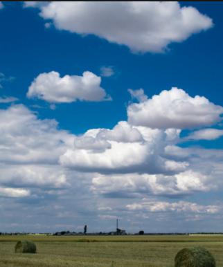 是谁在撩拨我的好奇心,是谁在撩动琴弦
