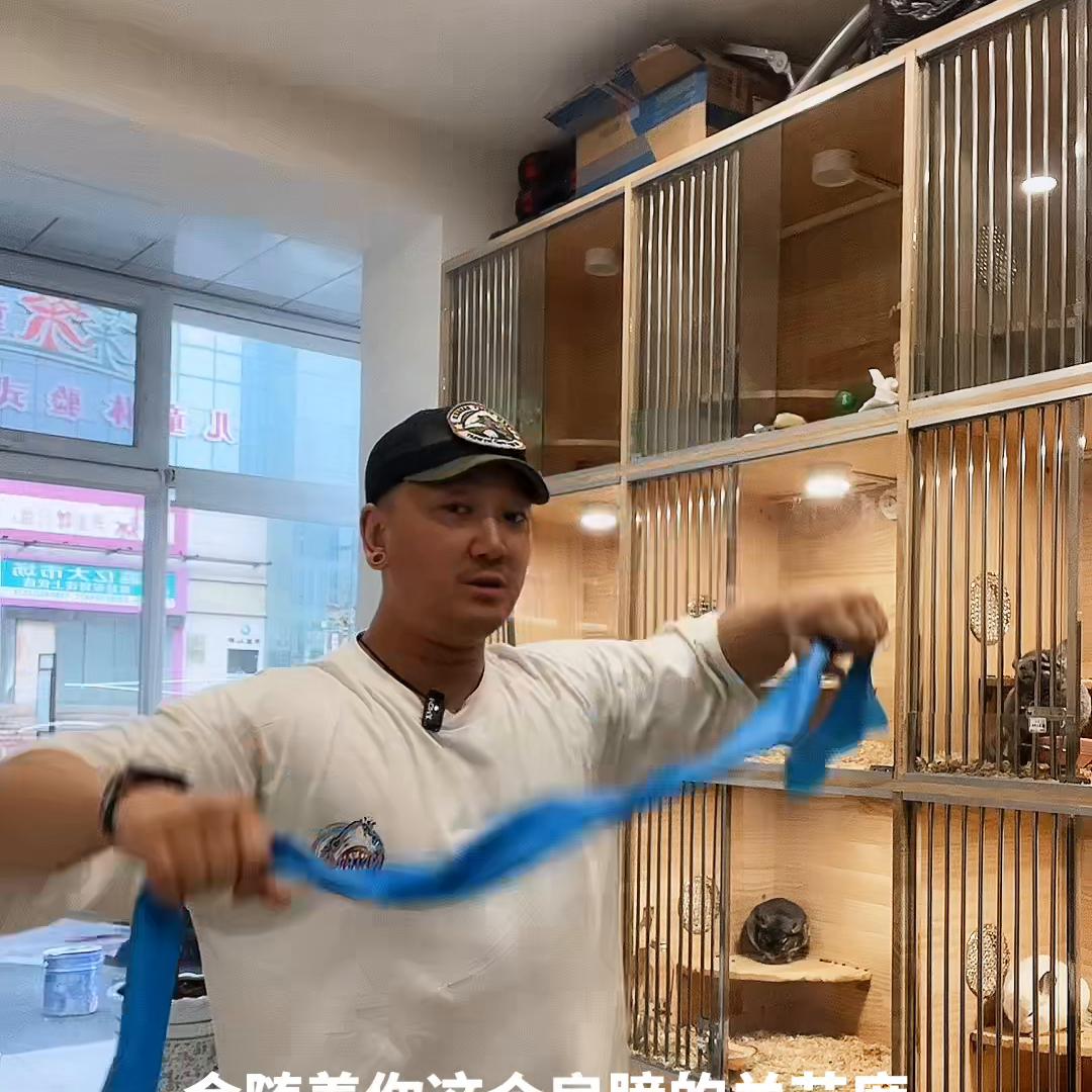 想要分享的知识点太多，只能留到下次继续分享#弹力带